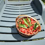 Apartamento Lovely With Pool In Poreč