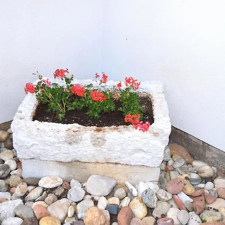 Lovely With Pool In Pore Apartment Porec