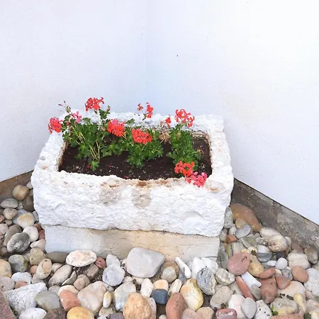 Lovely With Pool In *