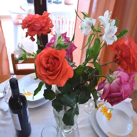 Lovely With Pool In Apartman