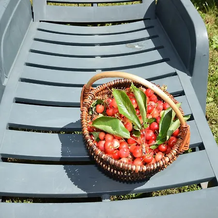 شقة Lovely With Pool In بوريتش