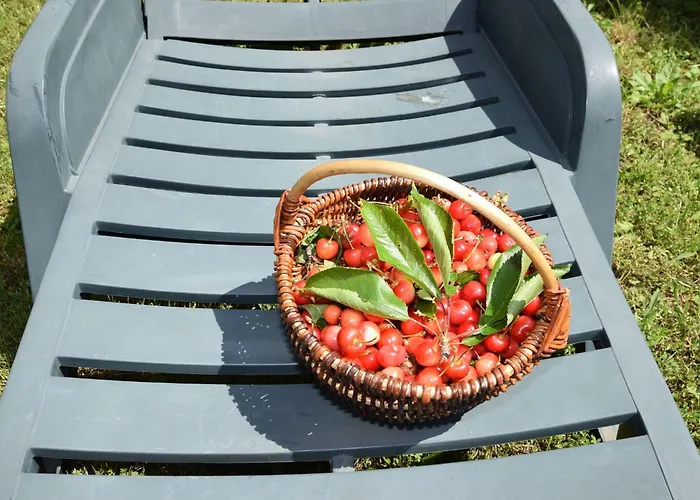 Apartman Lovely With Pool In Poreč