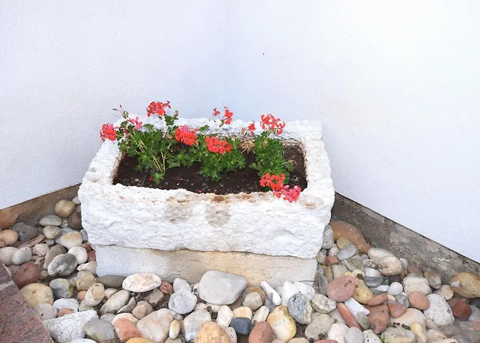 Lovely With Pool In Lejlighed Poreč