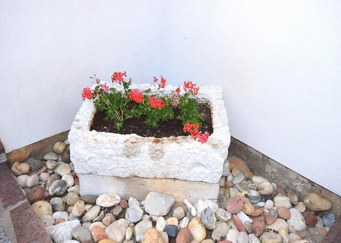 Lovely With Pool In *