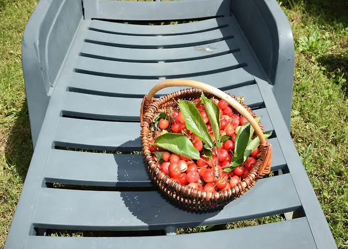 Apartman Lovely With Pool In Poreč